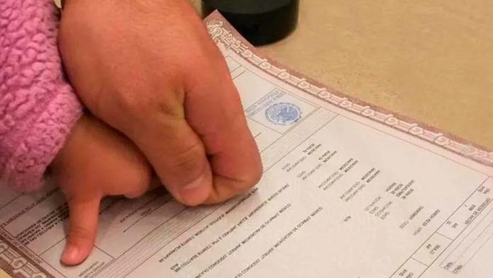 image - 2025-10-10T130459.926