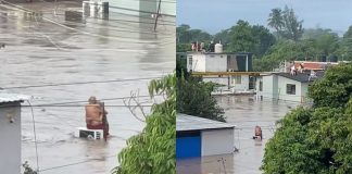 Pareja de abuelitos se abraza en medio de la inundación en Poza Rica esperando a que los rescaten | VIDEO