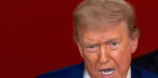 Trump aparecerá en la próxima portada de la revista Time por plan de paz en Gaza