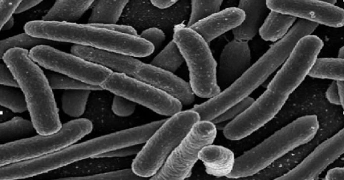 Resistencia a antibióticos aumentó 40%, alerta OMS