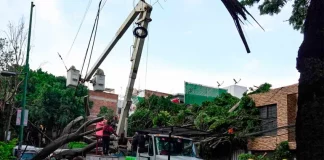 CFE restablece electricidad al 91% tras lluvias; más de 18 mil usuarios resultaron afectados