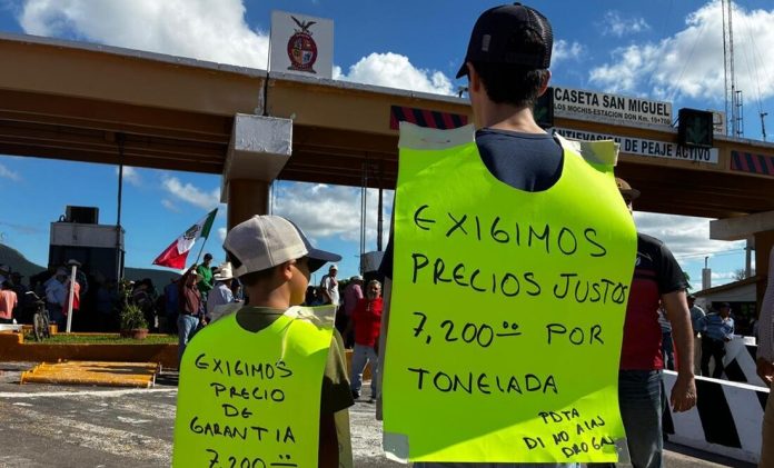 Y PRODUCTORES