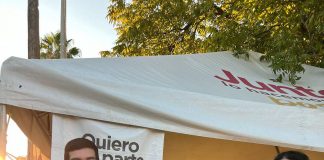 Invitan a la ciudadanía a la Feria de Adopción Canina y Felina