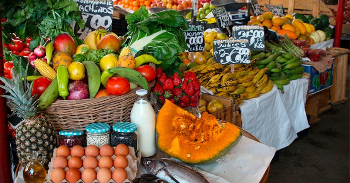 Y ALIMENTOS