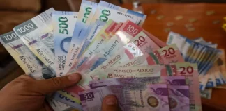 Banxico presenta nuevas familias de billetes y deja fuera el de 20 pesos