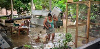 PAN pide recorte de 15 mil mdp al Tren Maya y el IPAB para destinarlos a estados afectados por lluvias