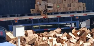 Vecinos aprovechan volcadura de tráiler para robar cerveza