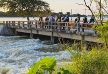 Evacuan a 20 familias por incremento del río Pánuco en Tampico