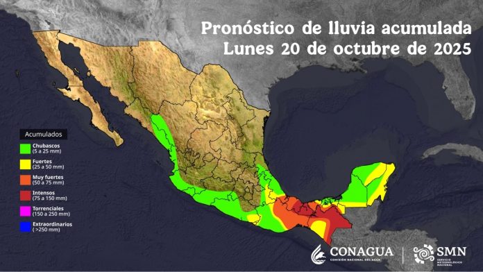 image - 2025-10-20T141516.396