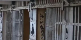 Sentencian a 12 años de prisión a dos hombres por trasladar a 137 migrantes en NL