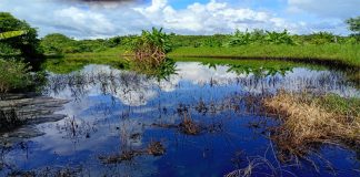 Ductos viejos de Pemex causan derrames de crudo