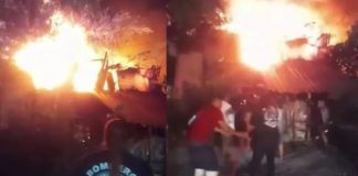 Mueren decenas de animales por incendio en refugio en Nayarit