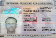¿Qué es la tarjeta de cruce fronterizo? El documento con el que los mexicanos pueden ir a EEUU sin visa ni pasaporte