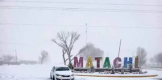 Chihuahua heladas bajo cero