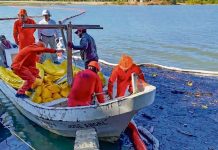 Suman 345 mil litros de crudo recuperado tras derrame en ríos de Veracruz