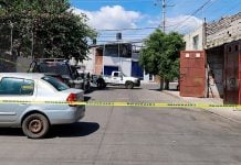 Abandonan los cuerpos de 5 perritos en colonia de Morelia, testigos aseguran fue un motociclista