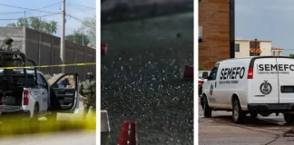 Primer año de Sheinbaum suma 25 mil homicidios; en el de Calderón fueron 13 mil
