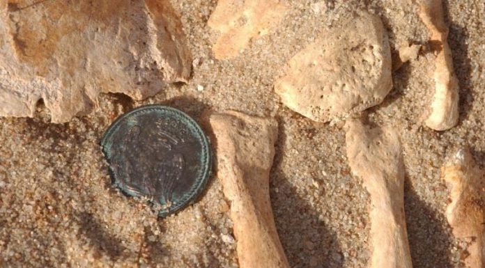 ADN revela las enfermedades que contribuyeron a la derrota de Napoleón en Rusia en 1812