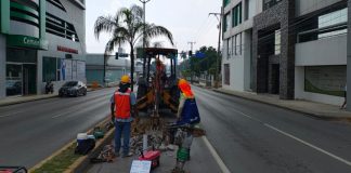 Avanza el proyecto BRT en la zona sur de Tamaulipas
