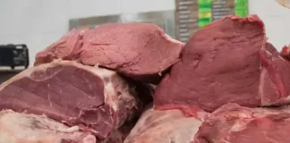 Matadero clandestino en Durango mezclaba carne de caballo con res para su venta