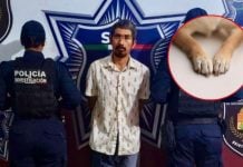 Hombre asesinó a un perro frente a sus hijos en Cancún, ya fue detenido