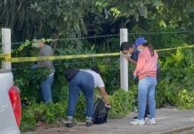 Denuncian fraude en crematorio de mascotas: entregaban tierra en lugar de cenizas