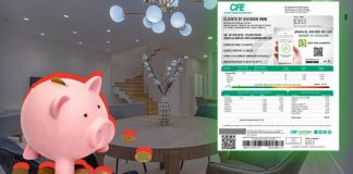 Estas son recomendaciones de la Profeco para bajar el consumo de luz y ahorrar en el recibo de CFE