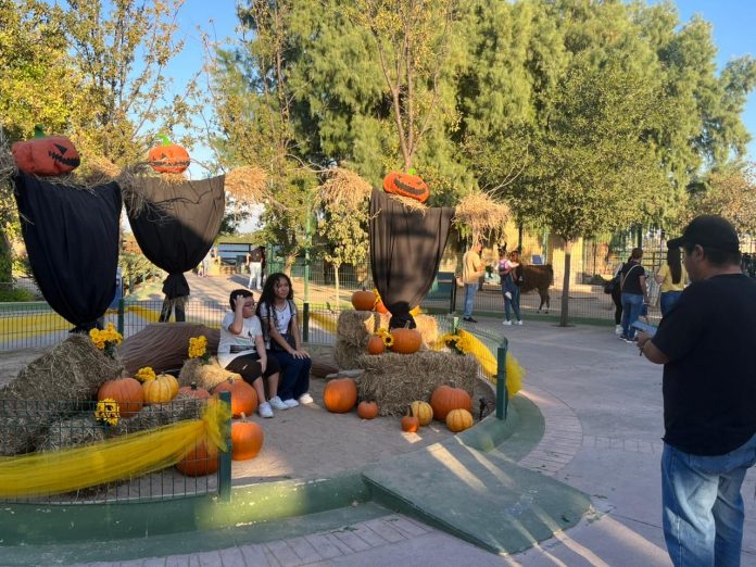 WhatsApp Image 2025-11-02 at 3.42.46 PM (1)