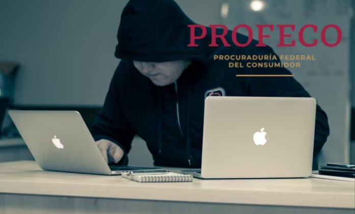 Y PROFECO