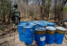 ¡Golpe millonario al narco! Ejército y GN aseguran sustancias valuadas en más de 2 mil mdp