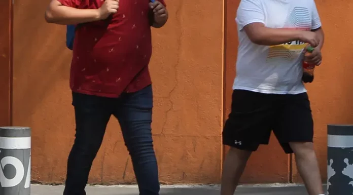 ‘Sobrepeso y obesidad infantil siguen alarmantemente altos’: OMS