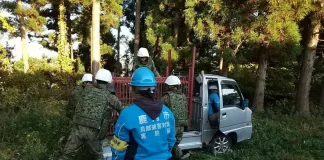 Japón despliega militares ante ola de ataques de osos; suman 12 muertos