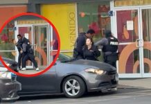 Agentes del ICE ingresan a guardería de Chicago para detener con violencia a una maestra: “¡Tengo papeles!”