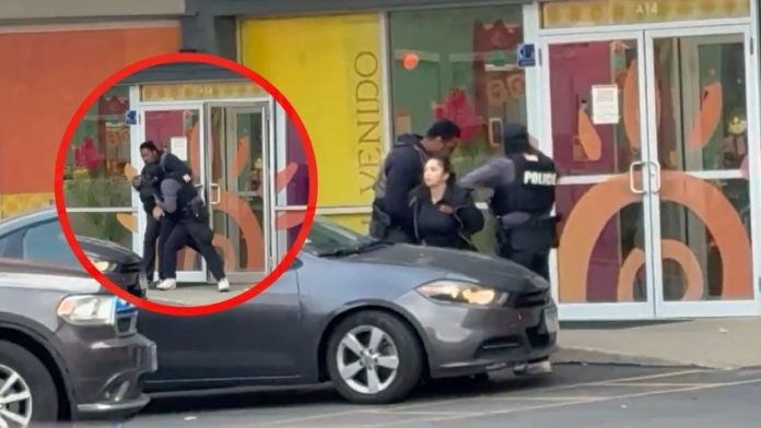 image - 2025-11-06T120752.693