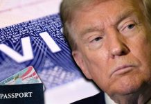 Estados Unidos confirma: tu visa podría ser inválida si cuenta con este detalle