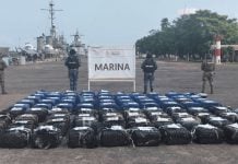 Aseguran 2.5 toneladas de cocaína en costas de Michoacán