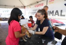 ‘Presidencia Cerquita de Ti’ lleva beneficios del gobierno municipal a familias de la colonia Naciones Unidas