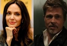 Brad Pitt demandó a Angelina Jolie por 35 millones de dólares