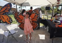 Invita gobierno municipal a redescubrir la ruta de las mariposas monarcas
