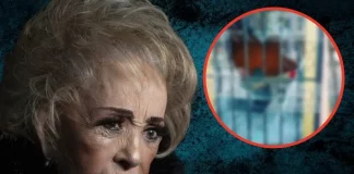 ¡Indignante! Destrozan tumba de Silvia Pinal; así se ve tras el ataque