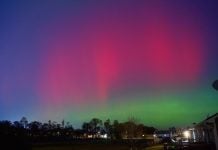 Poderosa tormenta solar deja auroras boreales en Estados Unidos y Europa