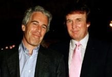 Casa Blanca acusa a los demócratas de crear ‘narrativa falsa’ para ligar a Trump con Epstein