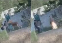 VIDEO: Jóvenes prenden pirotecnia en la cola de un burrito en Querétaro