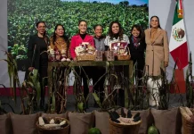 Shienbaum presenta ‘Plan Nacional Maíz Nativo’; arrancará en 2026 en 7 estados