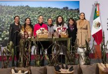 Gobierno anuncia Plan Nacional del Maíz Nativo: ‘El maíz es la raíz’