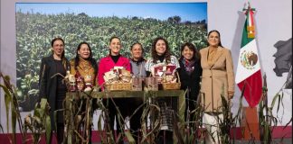 Gobierno anuncia Plan Nacional del Maíz Nativo: ‘El maíz es la raíz’
