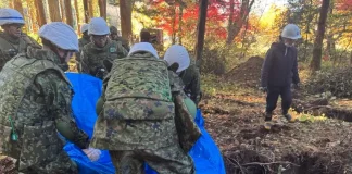 Japón recurre a policías jubilados para combatir la ola de ataques de osos