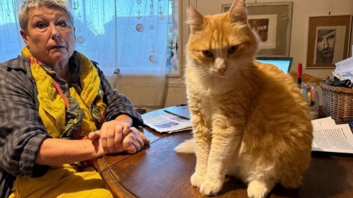 image - 2025-11-14T111923.378