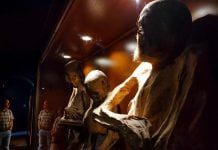 Advierten que las momias de Guanajuato podrían desaparecer en poco tiempo: estas son las razones