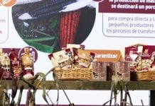Productores de maíz rechazan lanzamiento de “tortillas Bienestar”; es una bofetada para quienes vivimos del campo, dicen